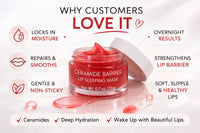EVYRA Ceramide Barrier Lip Sleeping Mask